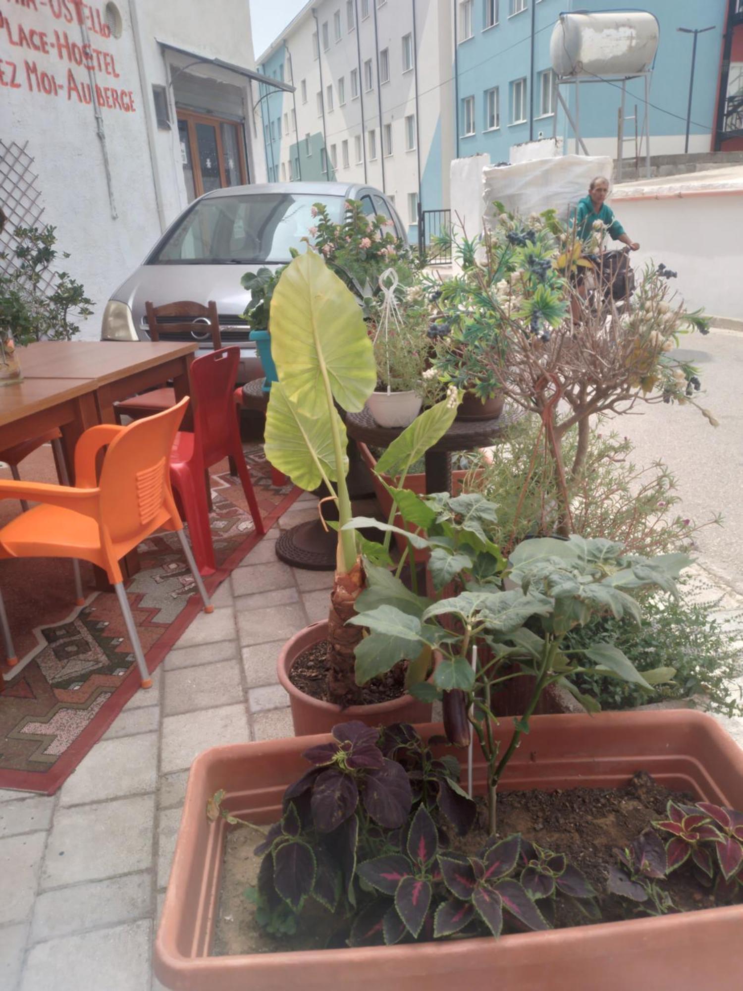 Casa Mia Vlorë Exterior foto