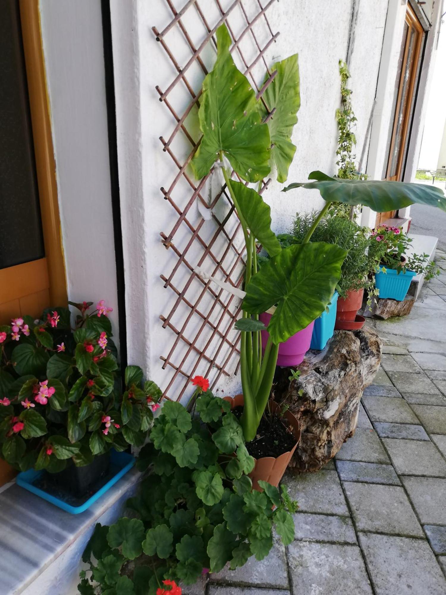 Casa Mia Vlorë Exterior foto